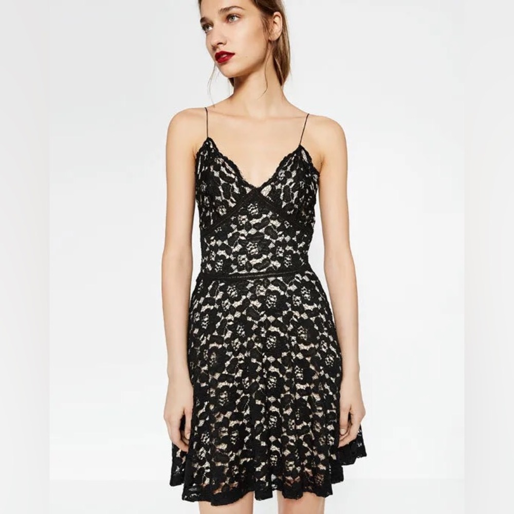 Zara black lace fit-and-flare dress